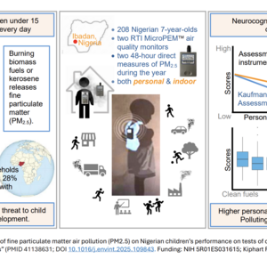 graphical abstract